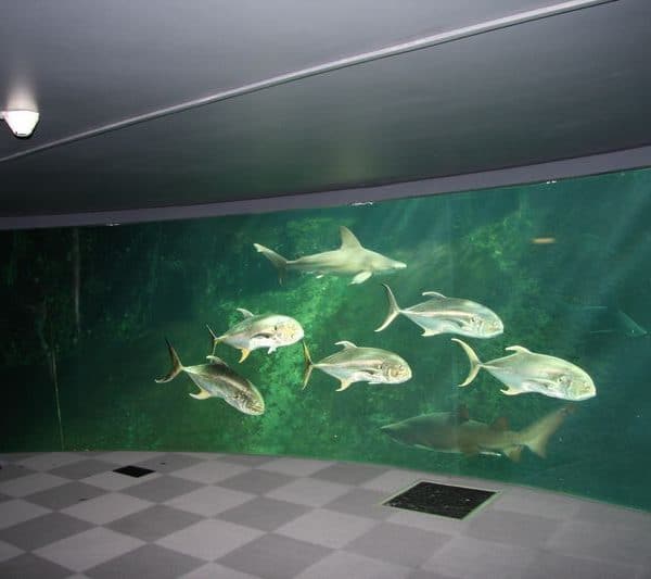 Das Meeresmuseum Nausicaá in Boulogne - ein Blick in die Tiefen des Meeres